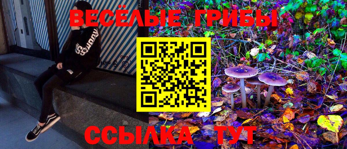 Орск  Галлюциногенные грибы Cubensis  Вход с VPN 